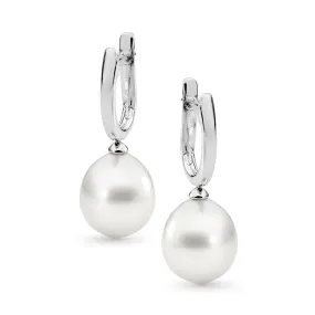 Australian South Sea Pearl French Hook Earrings